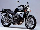 Yamaha FZX 250 Zeal